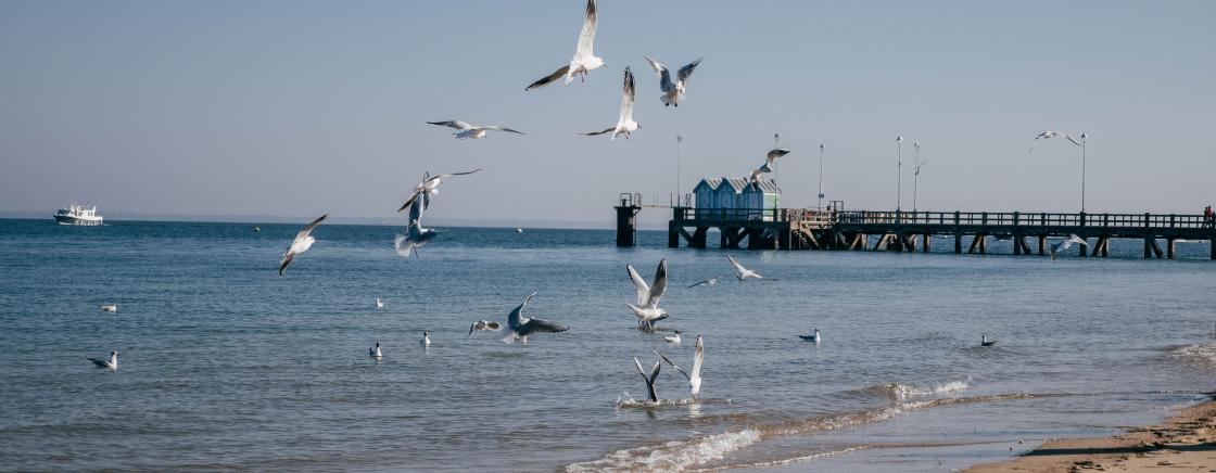 Arcachon<br>Bay