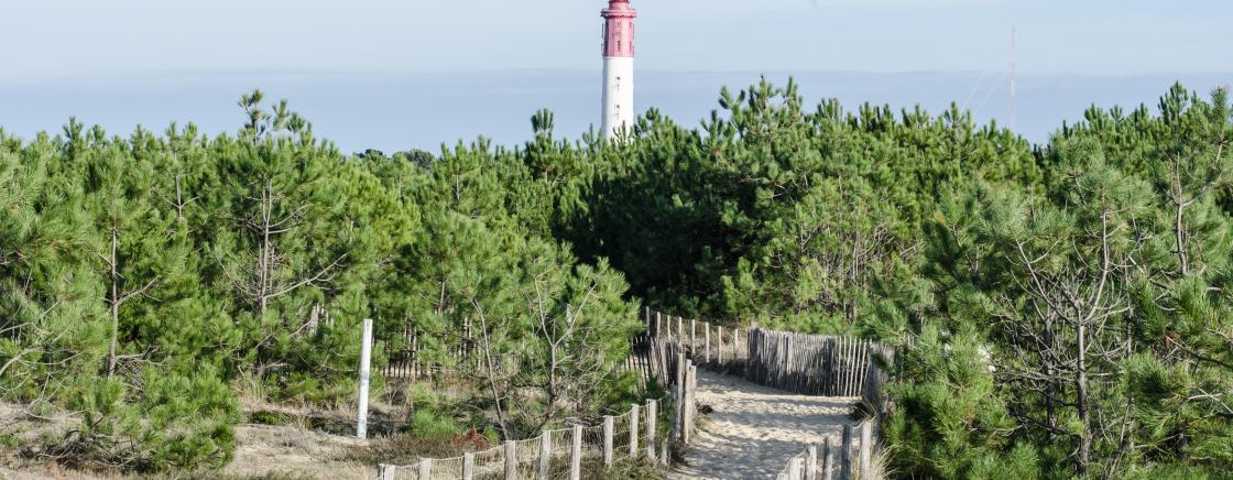 Partir à la découverte<br>du Cap-Ferret