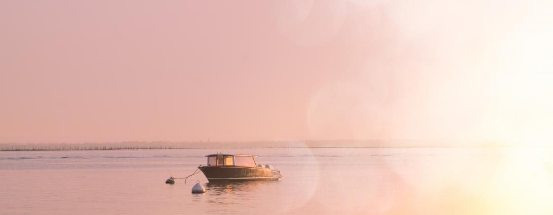 PICNIC ON THE BAY