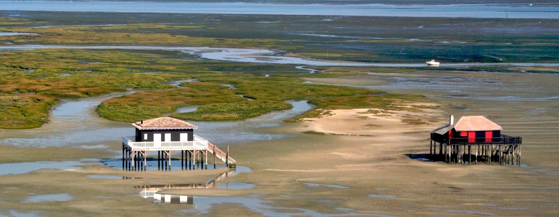 Découvrir les beautés du Bassin d’Arcachon